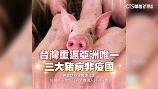 台灣重返非洲豬瘟非疫區　總統：讓台灣豬世界飄香