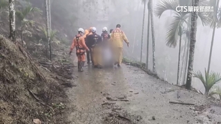 貨車閃樹枝墜50米深山谷　兄弟檔1死1傷