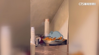 嘉義綠豆湯名店「老鼠叼走番薯」　民眾：不敢吃了！