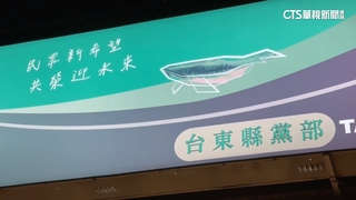 李貞秀台東服務處遭檢舉違建　建設處：排程拆除