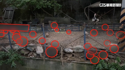 團膳公司遭控衛生堪憂影響食安 竹環保局:續追蹤