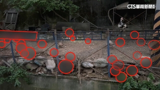 團膳公司遭控衛生堪憂影響食安　竹環保局：續追蹤