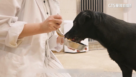 寵物用藥新制確定延後上路! 改公告制+雙軌購藥