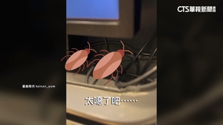百貨商場地下美食街驚見「蟑螂屋」　業者：會增加清消