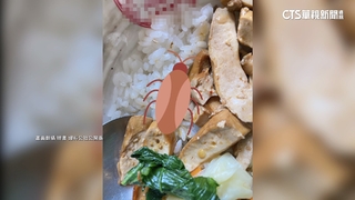 劉德華最愛排骨飯名店　民眾控疑吃到「蟑螂頭」