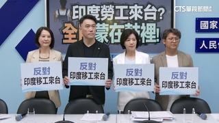 今年開放印度移工來台？　藍：反對　綠：藍態度轉彎