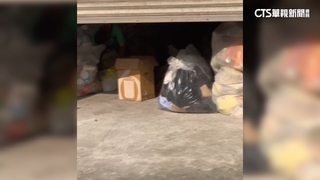 鐵皮屋變垃圾屋！　惡臭薰天.果蠅多　緊鄰咖啡廳慘受害