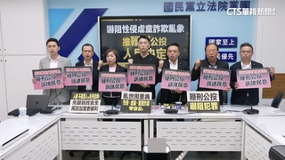 洪孟楷推鞭刑公投！　吳思瑤：立委該強化法制非丟給人民