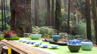 【網路溫度計】手搖飲天天喝卻不知道怎麼選好茶？網友揭秘十大選茶關鍵　原來差在這！