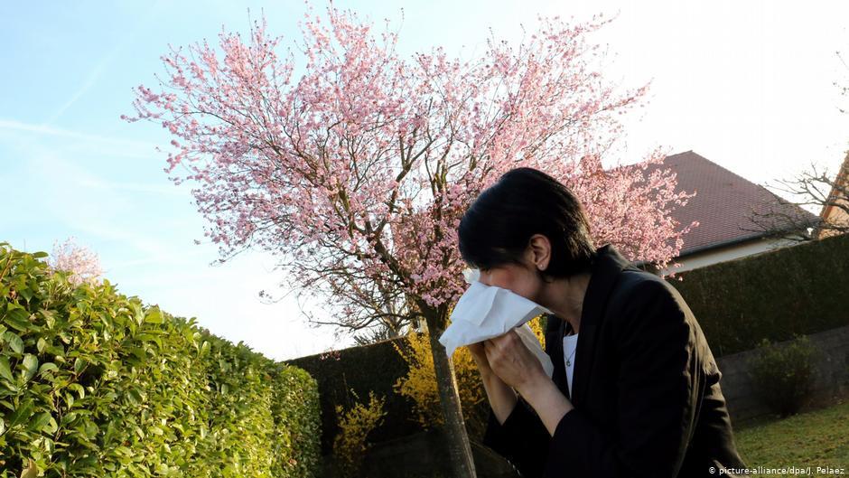 研究：空氣中大量花粉可增加新冠感染率  | 華視新聞