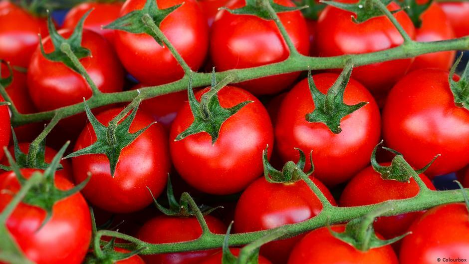 日本「番茄醬之王」可果美停止從新疆進口番茄原料 | 華視新聞