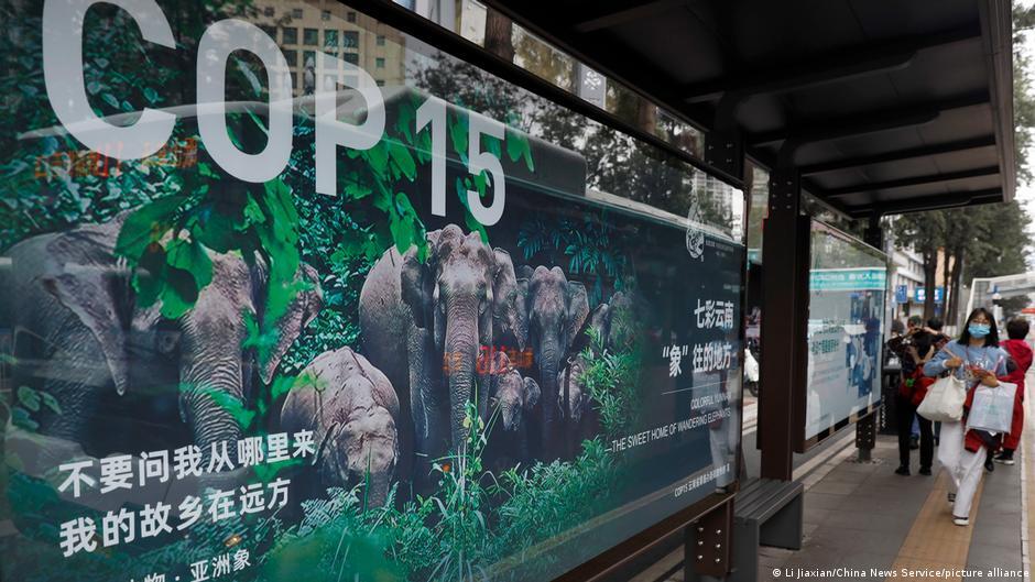 保護物種多樣化：中國投15億元設基金 | 華視新聞
