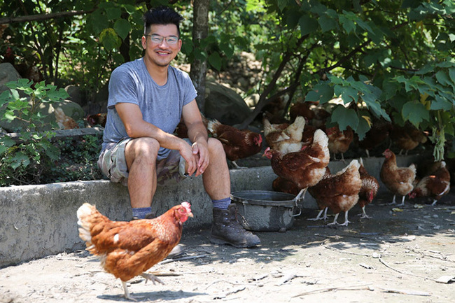 天然放牧雞蛋 健康又營養 | 華視新聞