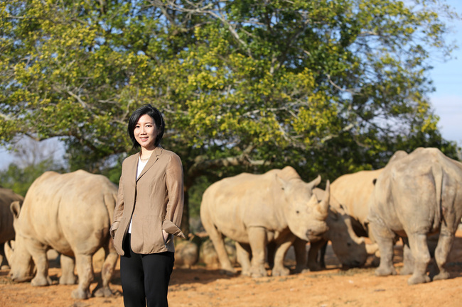 遠見 / 六福復育白犀牛 日本跨海來提親 | 華視新聞