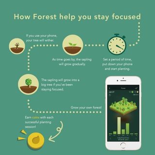 Google Play程式【Forest專注森林】  榮登9國最佳應用程式