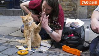 幫毒癮主人重生 全球最紅街貓Bob躍上大銀幕