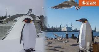 企鵝環遊世界打卡拍照？ 呼籲保護地球 保護牠的家