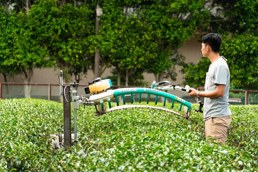 機器人成採茶幫手　自主轉彎省勞力 | 華視新聞
