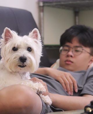 當娃娃車內裝的是寵物 尚待檢驗的大毛孩時代