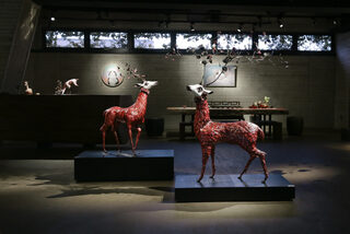 凝視你的《凝視》　林聖啟以金屬再現動植物新生命