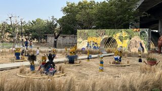 雲科大重塑稻草綁紮傳統　藝術靈感活化大埤酸菜季