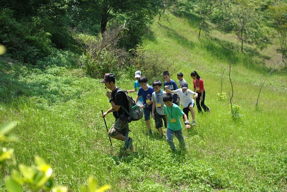 夏令營課程 讓孩子「eye上大自然」 | 華視新聞