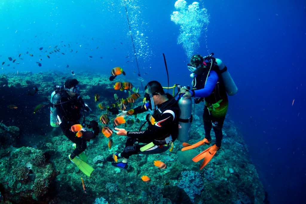 跨越限制徜徉藍海 身障潛水突破人生 | 華視新聞