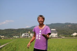 農田即教室 拉近人與稻田間的距離